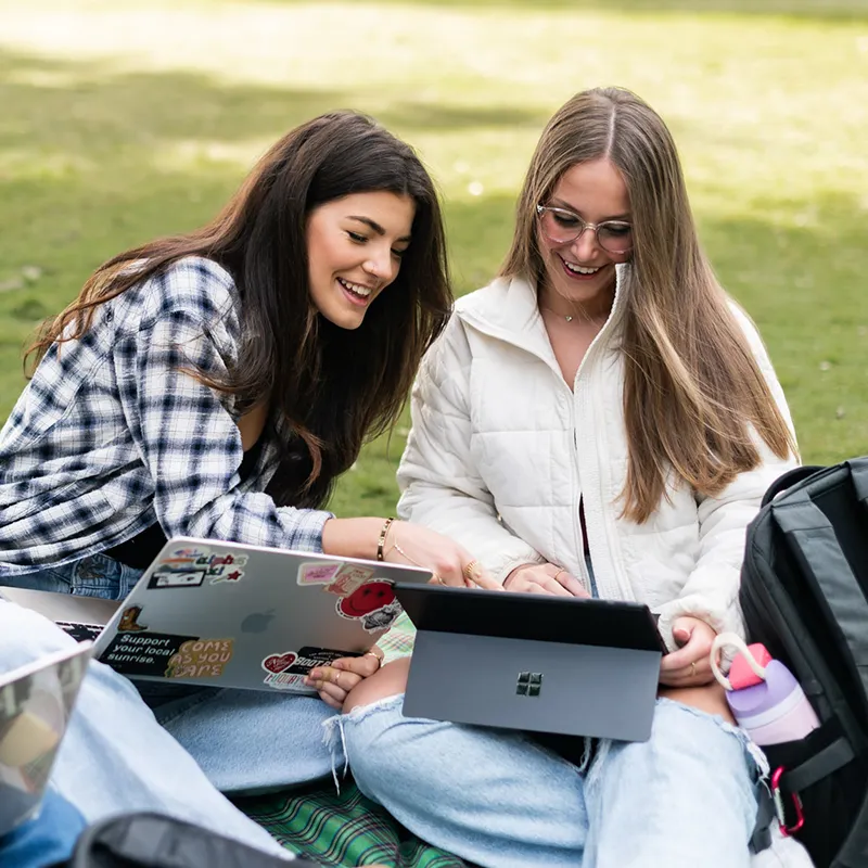 Three friends studying on laptops on the grass