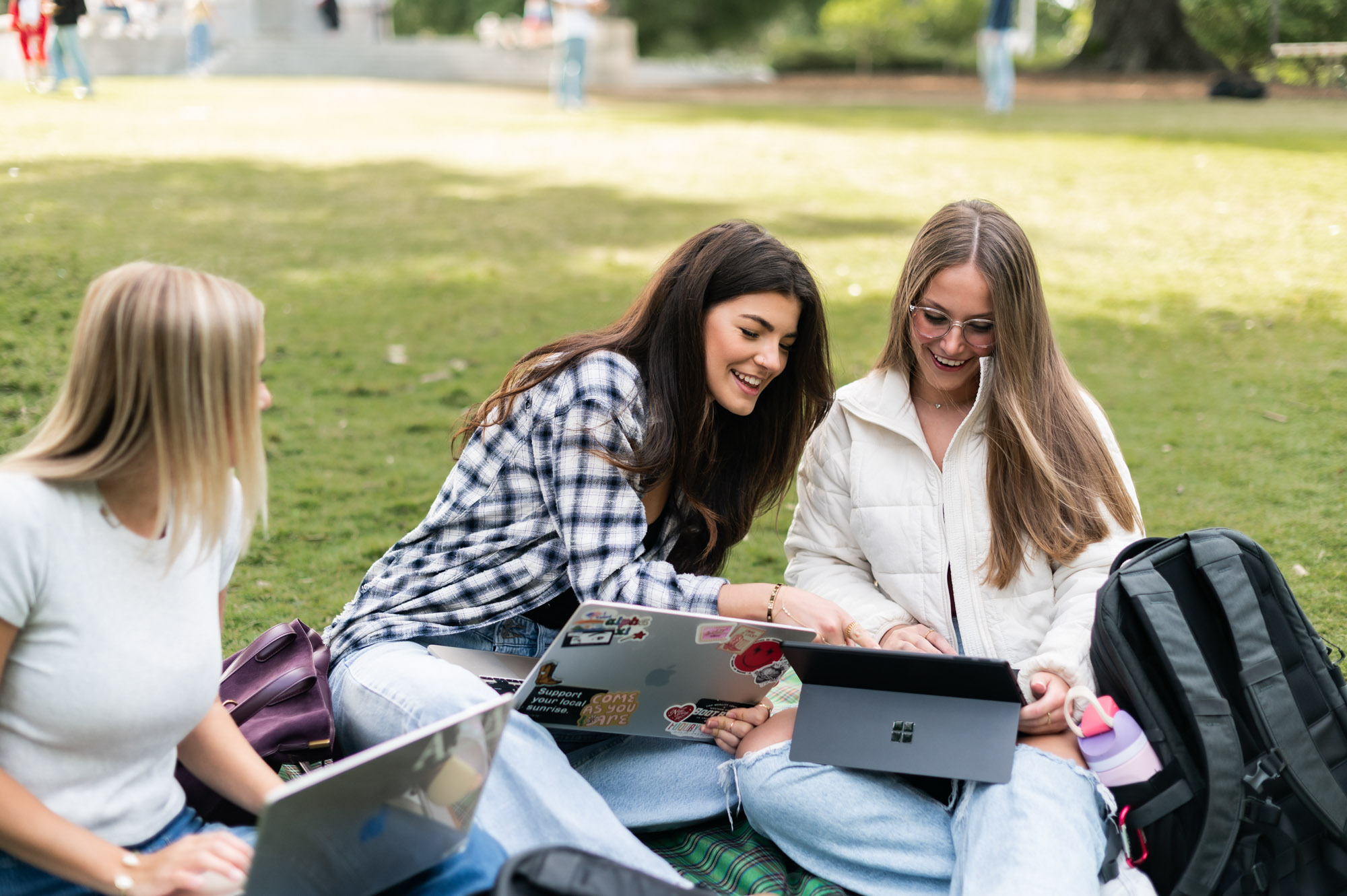 Three friends studying on laptops on the grass 1